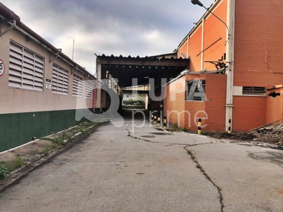 Imagem Terreno à Venda, 28.820 m² em Vila Maria Baixa - São Paulo Imagem Terreno à Venda, 28.820 m² em Vila Maria Baixa - São Paulo
