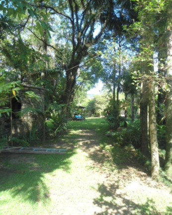 Imagem Casa com 5 Quartos à Venda, 385 m² em Piá - Nova Petrópolis