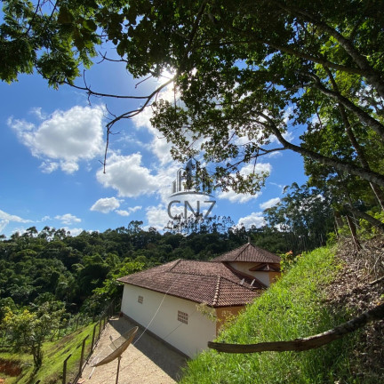 Imagem Imóvel com 6 Quartos à Venda, 65.000 m² em Tomaz Coelho - Brusque Imagem Imóvel com 6 Quartos à Venda, 65.000 m² em Tomaz Coelho - Brusque