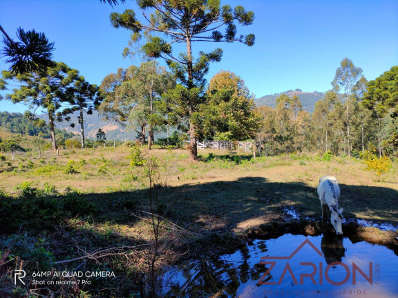 Fazenda à Venda, 230.000 m² em Jardim Márcia - Campos Do Jordão
