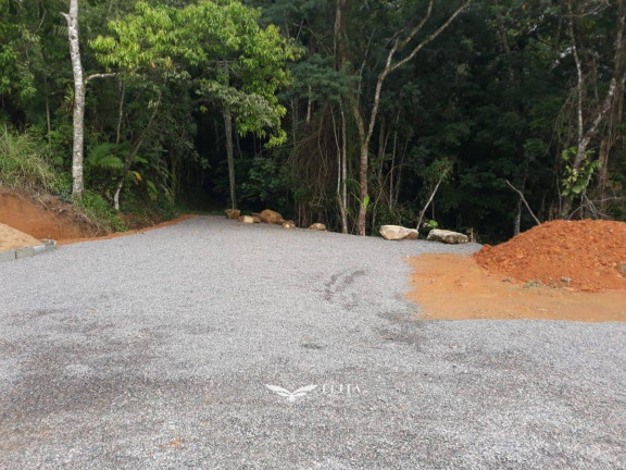 Imagem Chácara à Venda, 24.900 m² em Três Rios Do Norte - Jaraguá Do Sul
