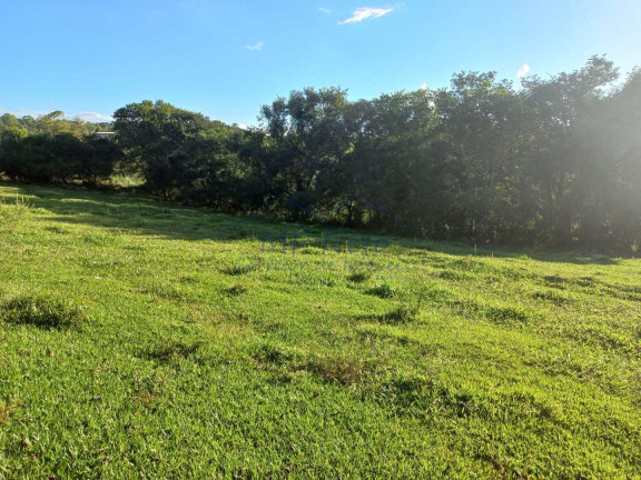 Imagem Fazenda à Venda, 65.340 m² em Bonfim - Pirassununga