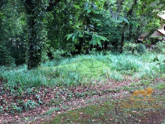 Imagem Terreno à Venda, 2.450 m² em Capivari - Campos Do Jordão Imagem Terreno à Venda, 2.450 m² em Capivari - Campos Do Jordão