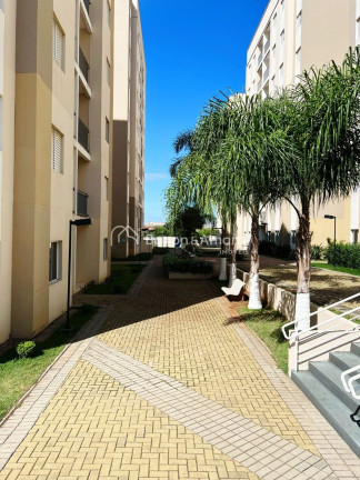 Imagem Apartamento com 3 Quartos à Venda, 67 m² em Nova Veneza - Sumaré