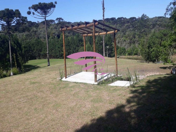 Imagem Imóvel à Venda, 25.892 m² em Borda Do Campo - São José Dos Pinhais Imagem Imóvel à Venda, 25.892 m² em Borda Do Campo - São José Dos Pinhais