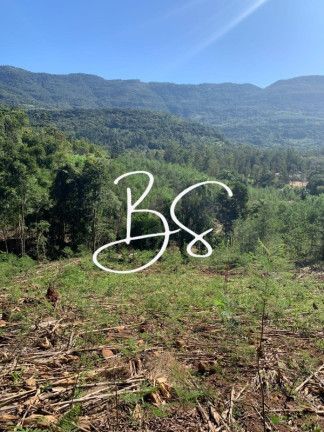 Imagem Imóvel com 2 Quartos à Venda, 30.000 m² em Solitária Alta - Igrejinha Imagem Imóvel com 2 Quartos à Venda, 30.000 m² em Solitária Alta - Igrejinha