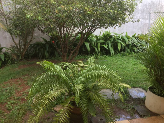 Imagem Casa com 4 Quartos à Venda, 820 m² em Interlagos - São Paulo Imagem Casa com 4 Quartos à Venda, 820 m² em Interlagos - São Paulo