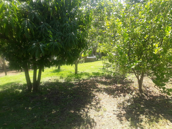Casa à Venda, 1.000 m² em Barreiro - Piedade