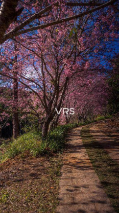 Imagem Terreno à Venda, 300 m² em Albuquerque - Teresópolis Imagem Terreno à Venda, 300 m² em Albuquerque - Teresópolis