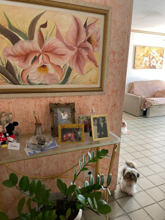 Imagem Apartamento com 3 Quartos à Venda, 80 m² em Piedade - Jaboatão Dos Guararapes Imagem Apartamento com 3 Quartos à Venda, 80 m² em Piedade - Jaboatão Dos Guararapes