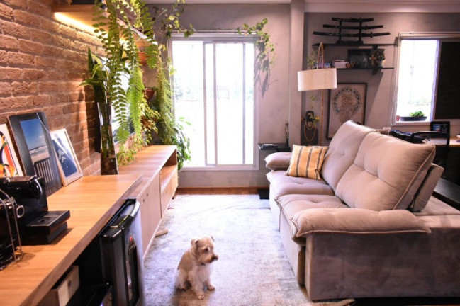 Imagem Imóvel com 1 Quarto à Venda, 50 m² em Moema - São Paulo Imagem Imóvel com 1 Quarto à Venda, 50 m² em Moema - São Paulo