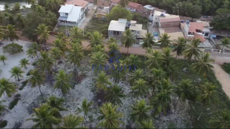 Imagem Terreno à Venda, 7.860 m² em Porto Sauípe - Entre Rios Imagem Terreno à Venda, 7.860 m² em Porto Sauípe - Entre Rios
