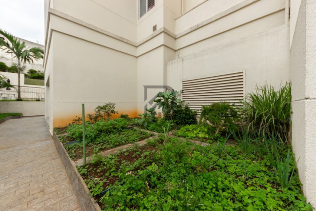 Imagem Apartamento com 3 Quartos à Venda, 94 m² em Vila Da Saúde - São Paulo Imagem Apartamento com 3 Quartos à Venda, 94 m² em Vila Da Saúde - São Paulo