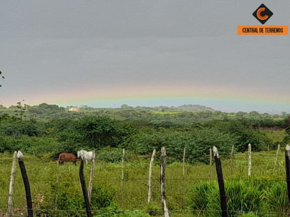 Imagem Imóvel à Venda, em Nova Soure - Nova Soure Imagem Imóvel à Venda, em Nova Soure - Nova Soure