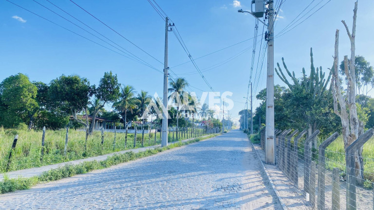 Terreno à Venda, 6.300 m² em Asa Branca - Feira De Santana