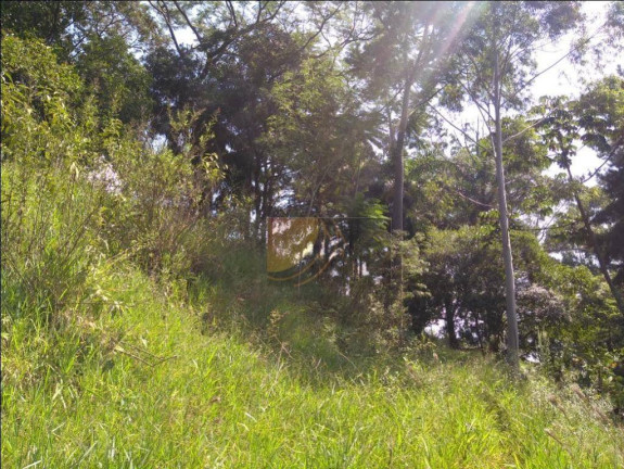 Imagem Terreno à Venda, 12.000 m² em Chácara Jaraguá - São Paulo Imagem Terreno à Venda, 12.000 m² em Chácara Jaraguá - São Paulo