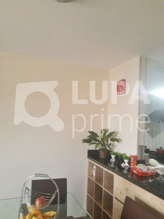 Imagem Apartamento com 3 Quartos à Venda, 65 m² em Vila Maria Alta - São Paulo Imagem Apartamento com 3 Quartos à Venda, 65 m² em Vila Maria Alta - São Paulo