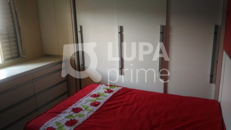Imagem Casa com 6 Quartos à Venda, 100 m² em Parque Panamericano - São Paulo Imagem Casa com 6 Quartos à Venda, 100 m² em Parque Panamericano - São Paulo