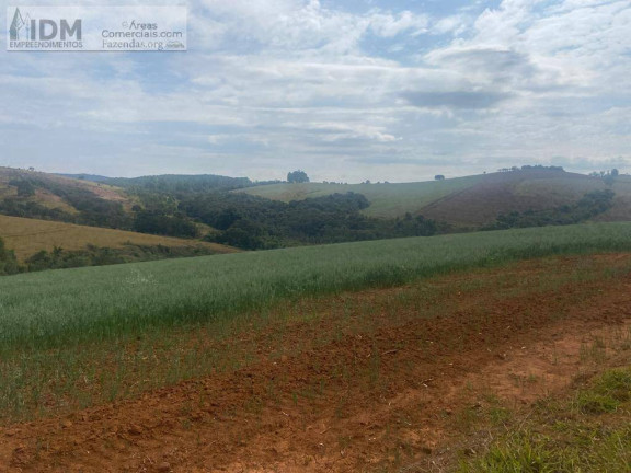 Imagem Chácara à Venda, 440.000 m² em Centro - Aiuruoca Imagem Chácara à Venda, 440.000 m² em Centro - Aiuruoca
