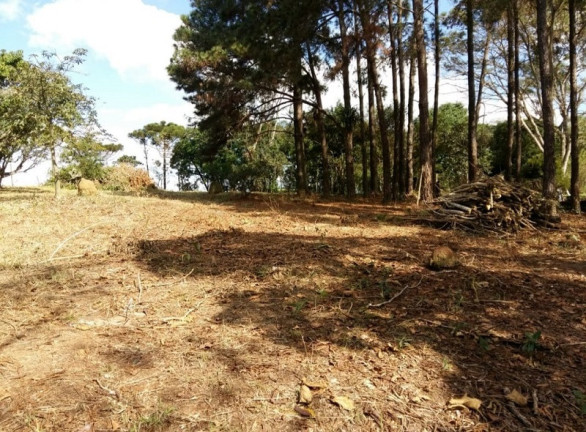 Imagem Imóvel à Venda,  em Caçapava