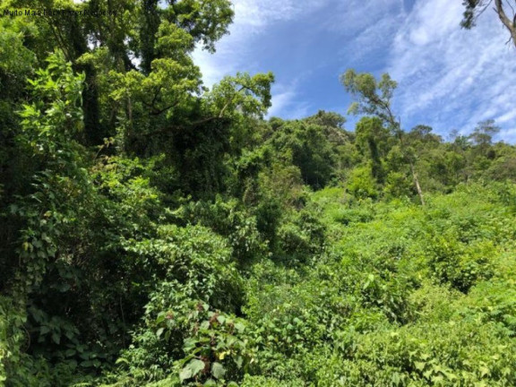 Imagem Terreno à Venda, 5 m² em Nove Colônias - Nova Petrópolis