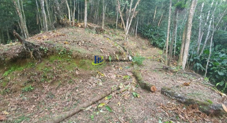 Imagem Imóvel à Venda,  em Centro - Camboriú