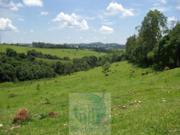 Imagem Imóvel com 4 Quartos à Venda, 1.694.000 m² em Zona Rural - Jacui