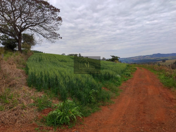 Imagem Terreno à Venda, 2.600 m² em Tomazina - Tomazina Imagem Terreno à Venda, 2.600 m² em Tomazina - Tomazina
