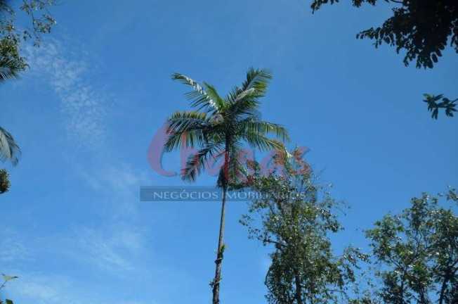 Imagem Terreno à Venda, 3.696 m² em Barranco Alto - Caraguatatuba