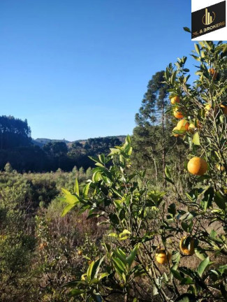 Imagem Imóvel com 4 Quartos à Venda, 29.000 m² em área Rural (areia Branca Dos Assis) - Mandirituba Imagem Imóvel com 4 Quartos à Venda, 29.000 m² em área Rural (areia Branca Dos Assis) - Mandirituba