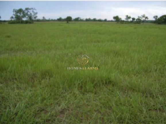 Imagem Imóvel com 3 Quartos à Venda, 83.400 m² em Centro - São Félix Do Araguaia Imagem Imóvel com 3 Quartos à Venda, 83.400 m² em Centro - São Félix Do Araguaia