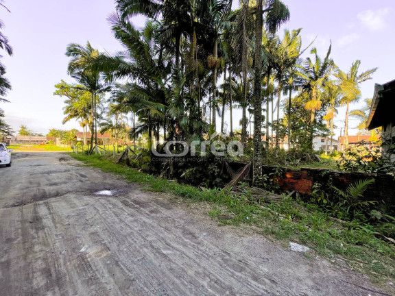 Imagem Terreno à Venda, 330 m² em Pinheiros - Balneário Barra Do Sul Imagem Terreno à Venda, 330 m² em Pinheiros - Balneário Barra Do Sul