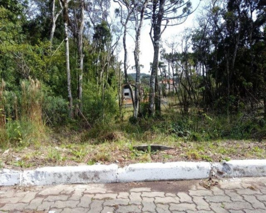 Imagem Imóvel à Venda, 821 m² em Vila Germânia - Nova Petrópolis