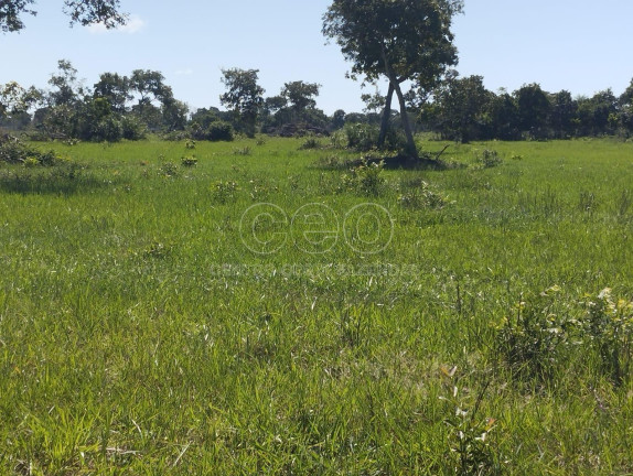 Fazenda à Venda,  em Zona Rural - Caceres