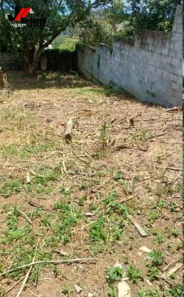 Imagem Terreno à Venda, 250 m² em Pingo De Ouro - Guaratinguetá Imagem Terreno à Venda, 250 m² em Pingo De Ouro - Guaratinguetá
