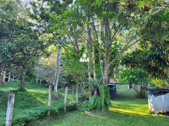 Imagem Fazenda à Venda, 181.500 m² em Centro - Paraibuna