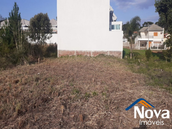 Imagem Imóvel à Venda, 381 m² em Vila Germânia - Nova Petrópolis Imagem Imóvel à Venda, 381 m² em Vila Germânia - Nova Petrópolis