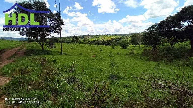 Imagem Fazenda à Venda, 21 m² em Zona Rural - Hidrolândia