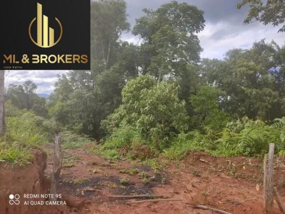Imagem Imóvel à Venda, 20.000 m² em Sao Silvestre - Campo Largo