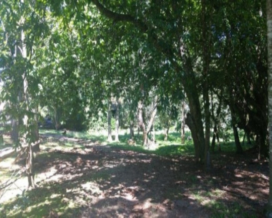 Imagem Casa com 4 Quartos à Venda, 170 m² em Piá - Nova Petrópolis Imagem Casa com 4 Quartos à Venda, 170 m² em Piá - Nova Petrópolis