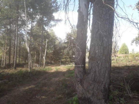 Imagem Terreno em Condomínio à Venda, 15.070 m² em Estoril - Nova Lima