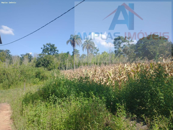 Imagem Imóvel com 2 Quartos à Venda, 15.000 m² em Freitas Serra Azul - Mateus Leme