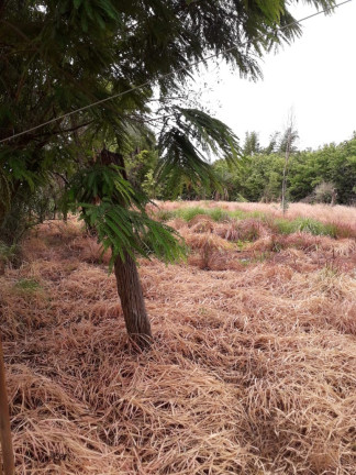 Imagem Imóvel com 7 Quartos à Venda, 10.000 m² em Distrito Vila Almeida - Jaboticatubas