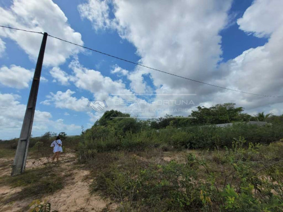 Imagem Terreno à Venda, 1.000 m² em Pium - Nísia Floresta Imagem Terreno à Venda, 1.000 m² em Pium - Nísia Floresta
