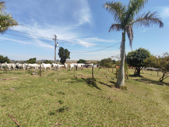 Chácara com 4 Quartos à Venda, 242 m² em Cercadinho - Alambari