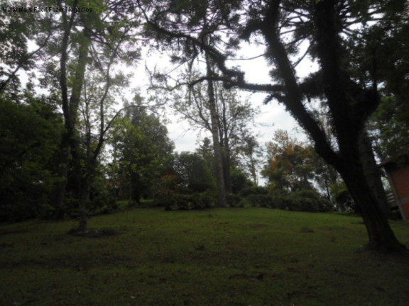 Imagem Terreno à Venda, 3 m² em Vale Verde - Nova Petrópolis Imagem Terreno à Venda, 3 m² em Vale Verde - Nova Petrópolis