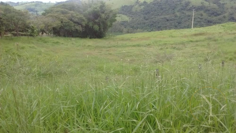 Imagem Imóvel com 6 Quartos à Venda, 146 m² em Centro - Socorro Imagem Imóvel com 6 Quartos à Venda, 146 m² em Centro - Socorro