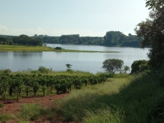 Imagem Chácara com 3 Quartos à Venda, 2.000 m² em Centro - Alfenas Imagem Chácara com 3 Quartos à Venda, 2.000 m² em Centro - Alfenas