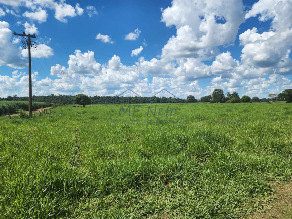 Imagem Fazenda à Venda, 9 m² em Santa Tereza - Pirassununga Imagem Fazenda à Venda, 9 m² em Santa Tereza - Pirassununga