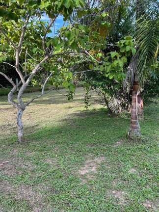 Imagem Chácara com 4 Quartos à Venda, 9 m² em Cuiabá Imagem Chácara com 4 Quartos à Venda, 9 m² em Cuiabá